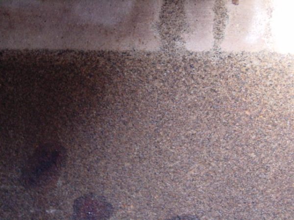 DSC00798